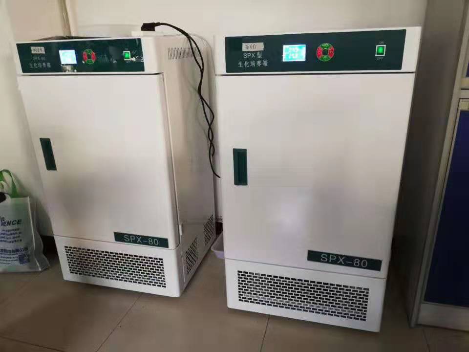 Incubateur de refroidissement BOD de laboratoire