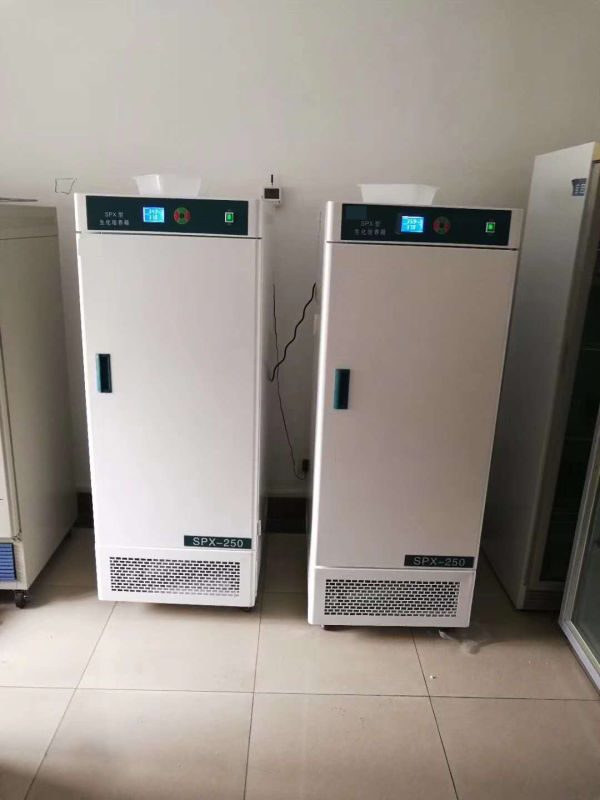 Incubateur biochimique