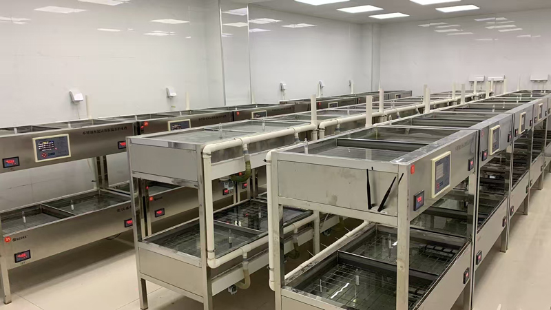 bain de ciment de laboratoire