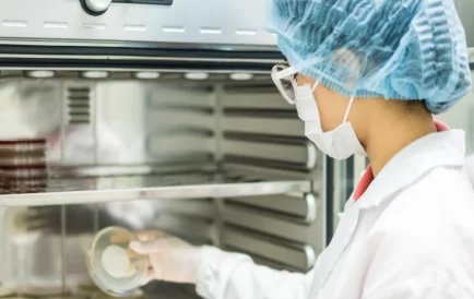 Incubateurs de laboratoire dans les expériences biologiques